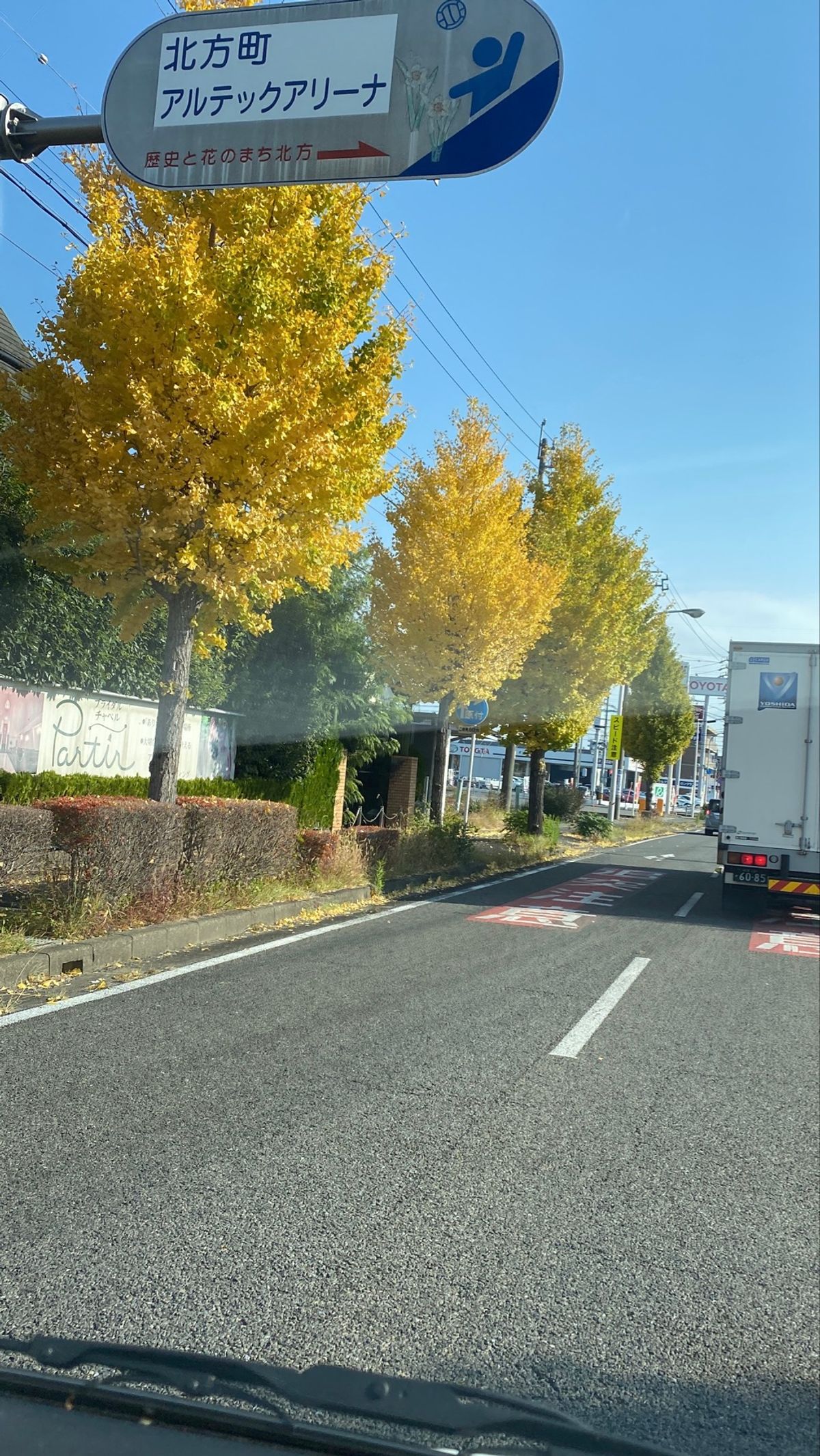 黄金神社へ行く道中で綺麗な紅葉🤩
最高でした。