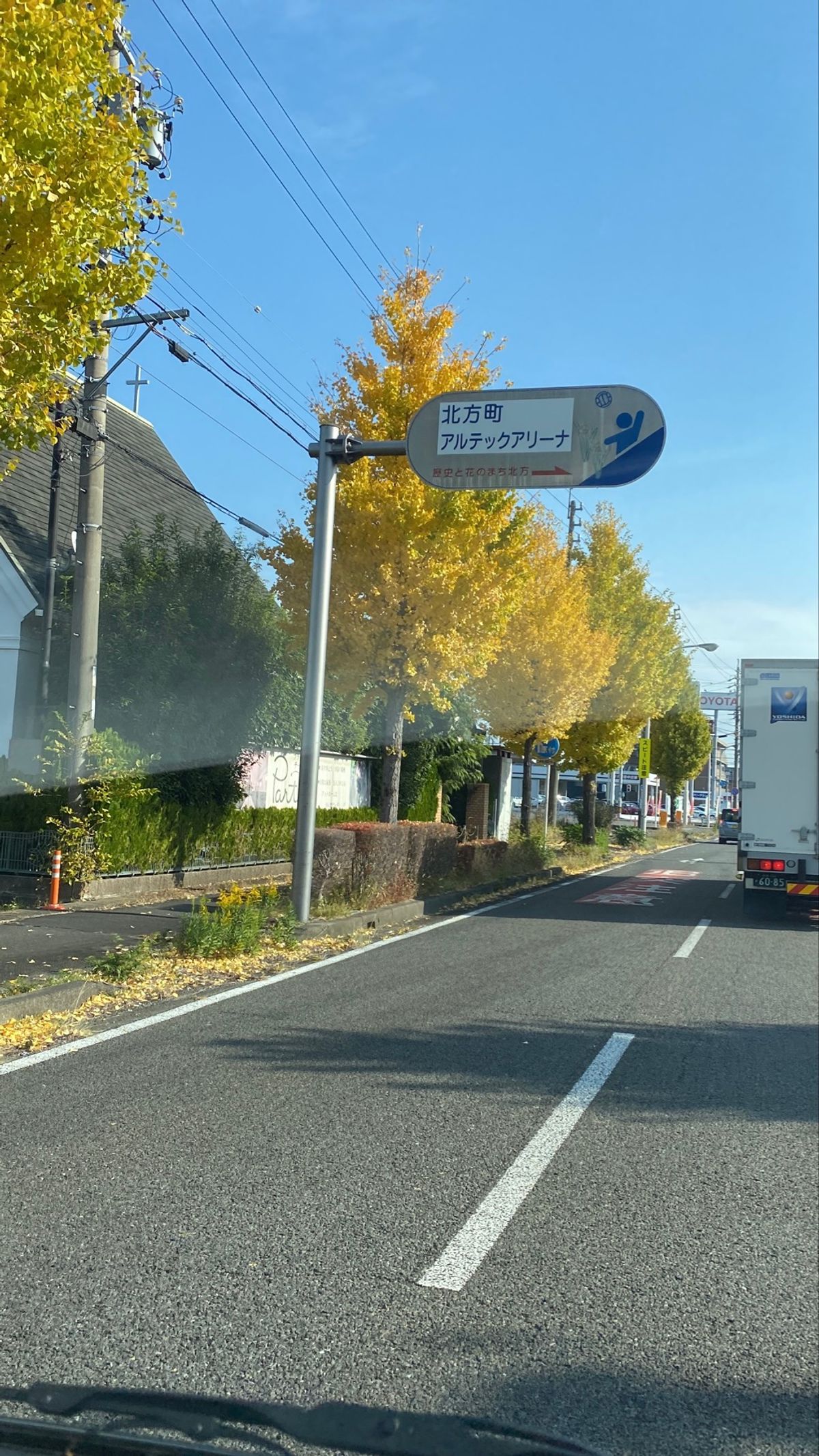 黄金神社へ行く道中で綺麗な紅葉🤩
最高でした。