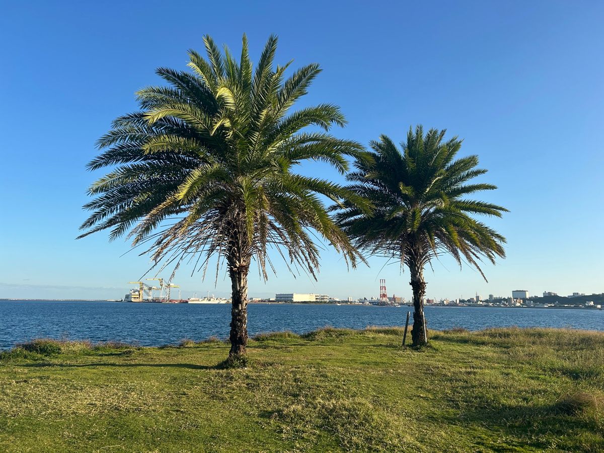 屋台村、美ら海水族館、北谷....