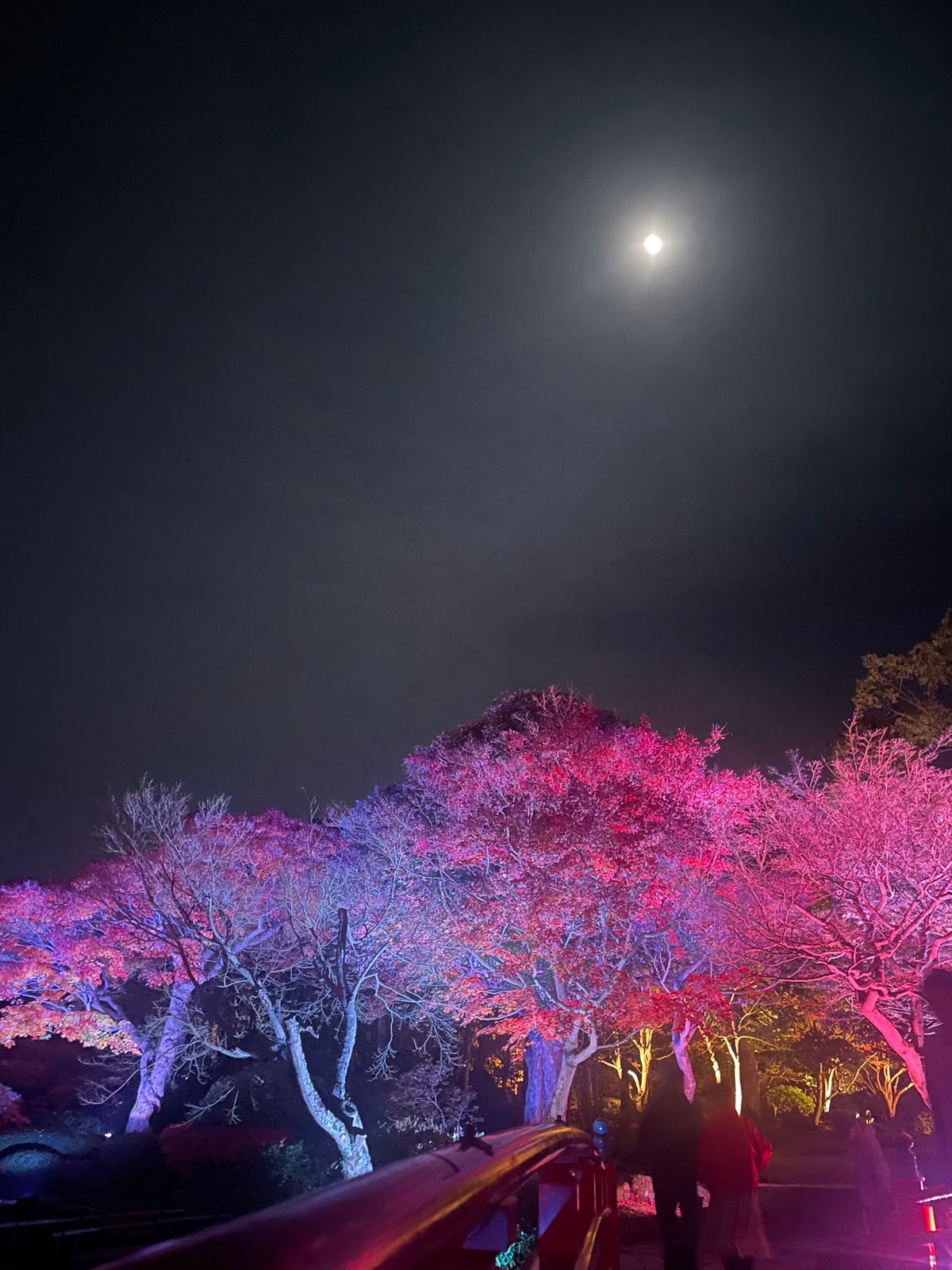 出雲大社　足立美術館