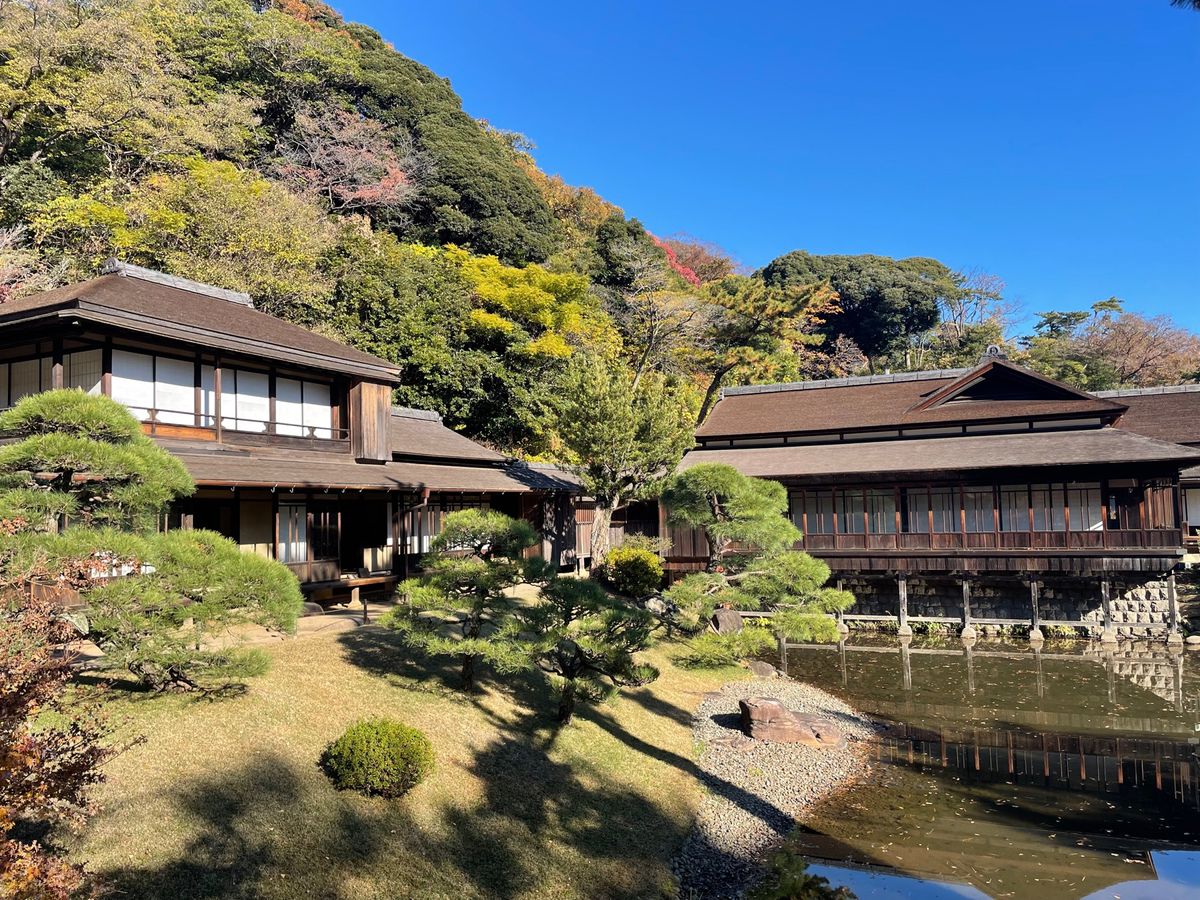 紅葉狩りのラスト？横浜の三溪園に行ってきました。