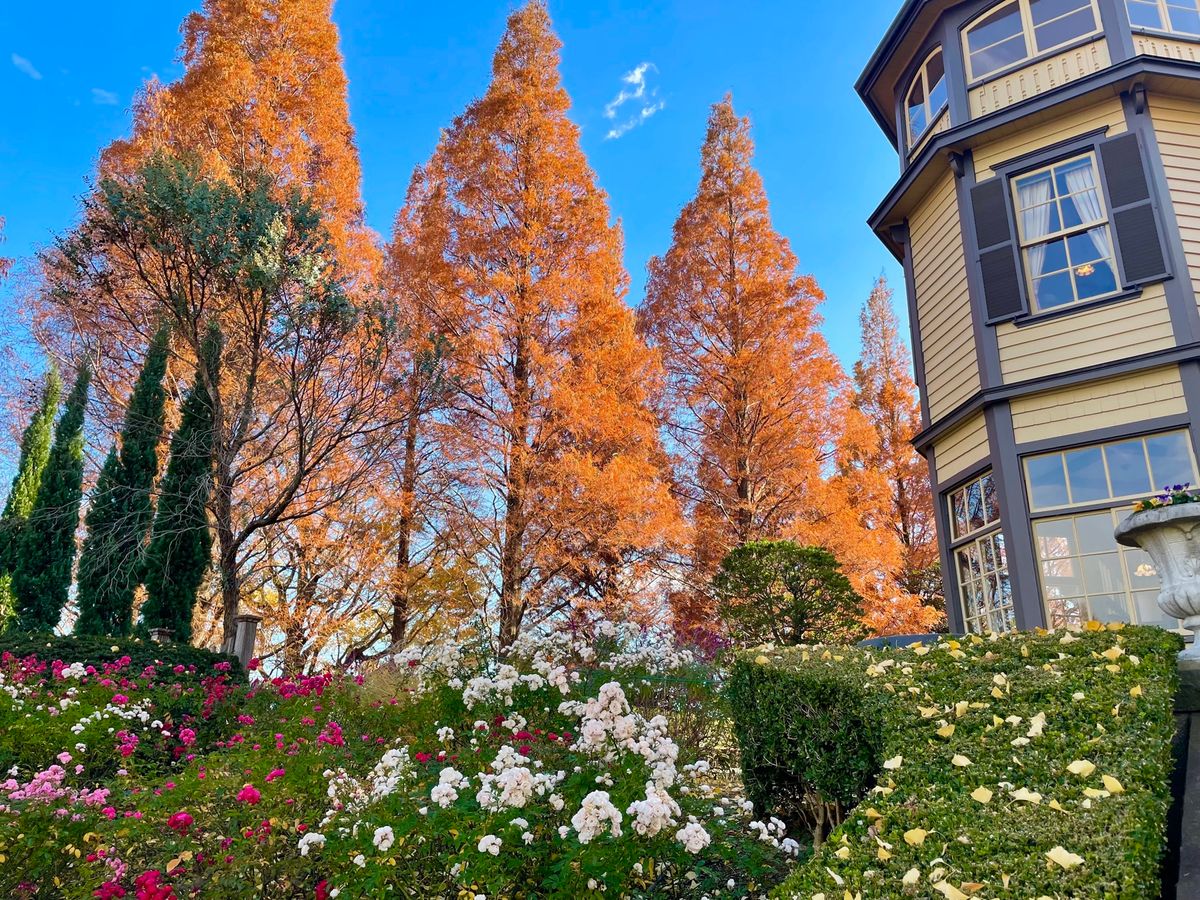 山下公園からはてくてく歩いて山手イタリア庭園へ。