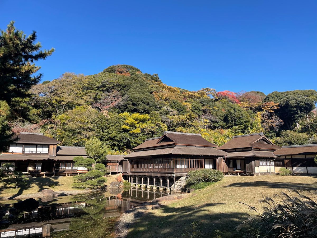 紅葉狩りのラスト？横浜の三溪園に行ってきました。