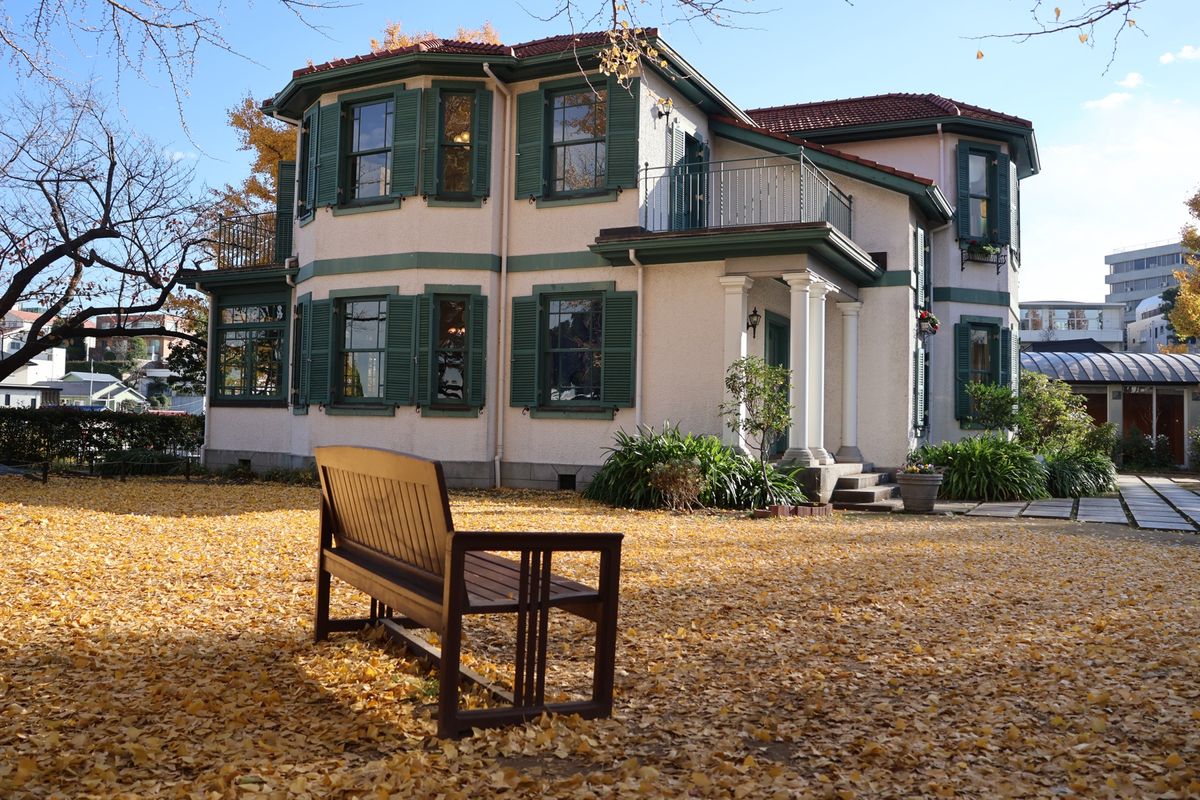 ベンチの周りは黄色の絨毯