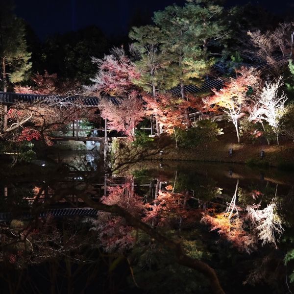 日本・京都「京都」の写真