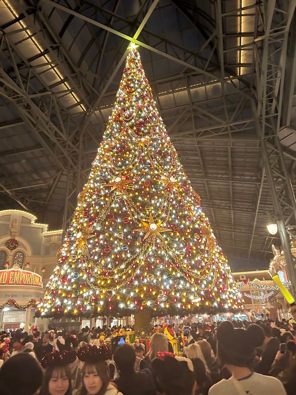 日本・東京ディズニーランド「ディズニーランド　リーチフォーザスターズ」の写真