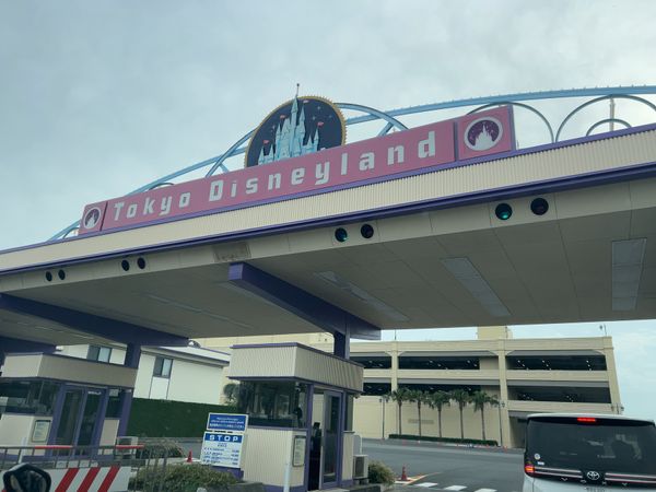 日本・東京ディズニーランド「ディズニーランド　リーチフォーザスターズ」の写真：クリスマスディズニー