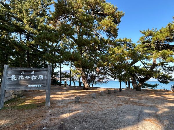 日本・福井「敦賀」の写真