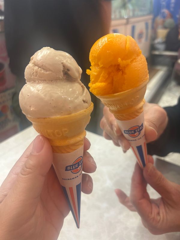 日本・沖縄県「沖縄旅行」の写真