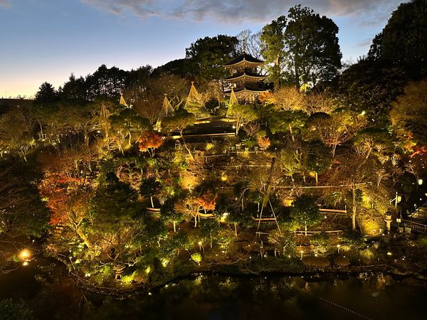 日本・東京都「椿山荘アフタヌーンティー」の写真：ムーミンアフタヌーンティー椿山荘