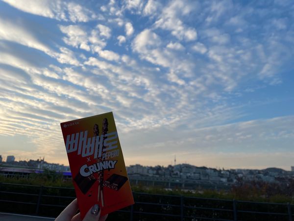 大韓民国 (韓国)「韓国への旅行」の写真