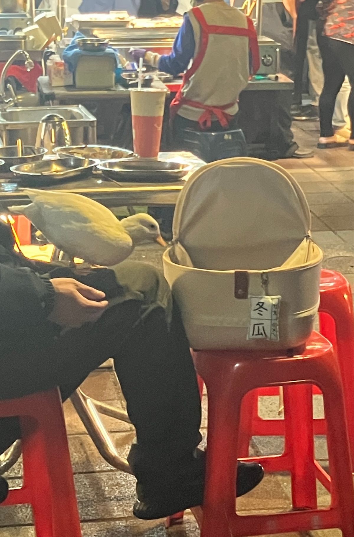 寧夏夜市
やはり観光客が多い！
排骨と蒸し餃子を食べました。
蒸し餃子は生...