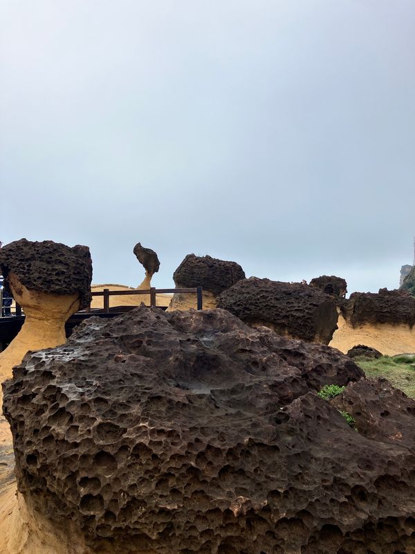 台湾「台北食べ歩き旅」の写真：本日は観光デー。

野柳地質公園
様々な...
