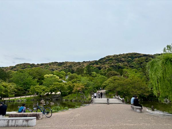 日本・京都府「誕生日」の写真