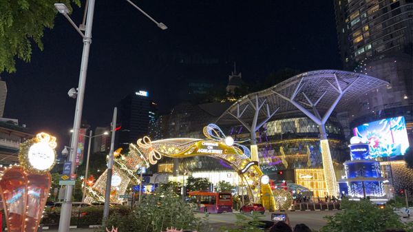 シンガポール・シンガポール「決勝」の写真