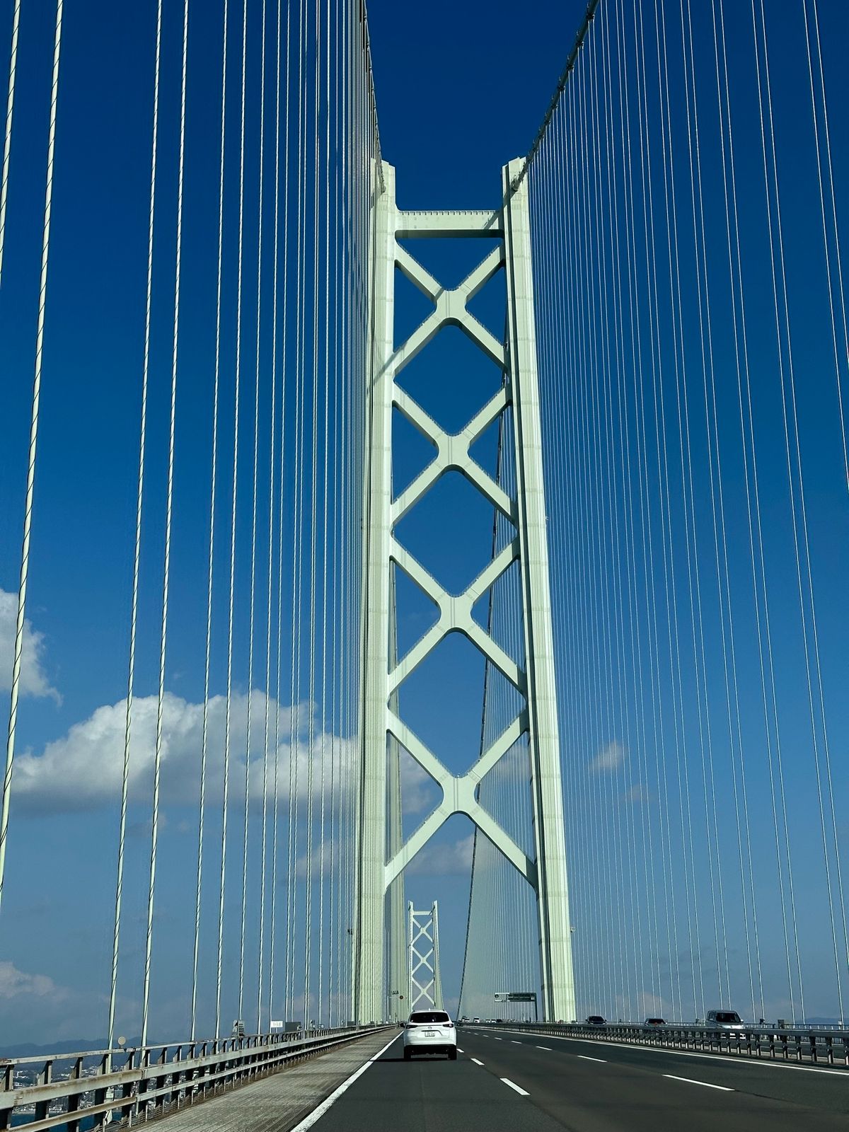 ・淡路島バーガー
・うずの丘
・明石海峡大橋
・南京町食べ歩き