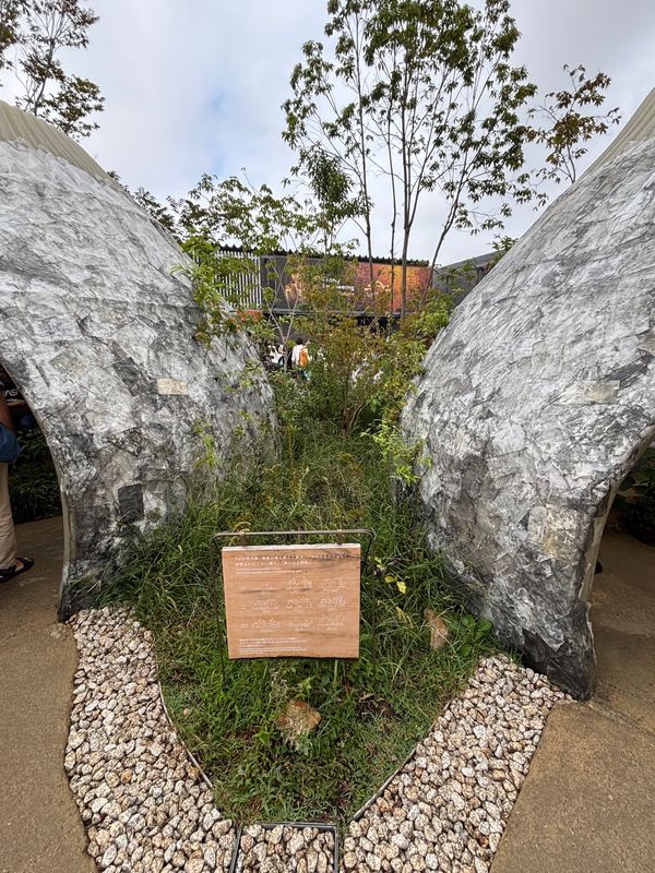 日本・大阪府「万博17回目」の写真