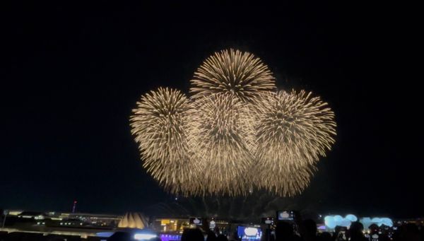 日本・大阪府「万博19回目」の写真