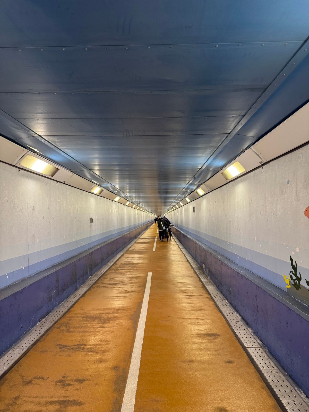 関門海峡を渡る
●門司港から下関に向かう地下歩道
●ここが中間地点　九州か...