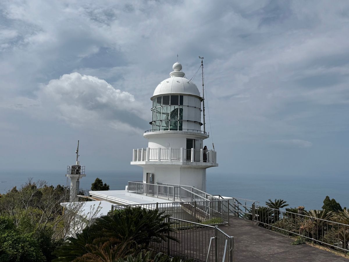 宮崎県　串間市
都井岬

野生の馬に癒された！！のんびりしていて、人が近寄...