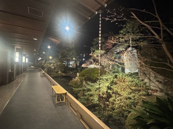 日本・山梨県「山梨県石和温泉」の写真：鯉がたくさん