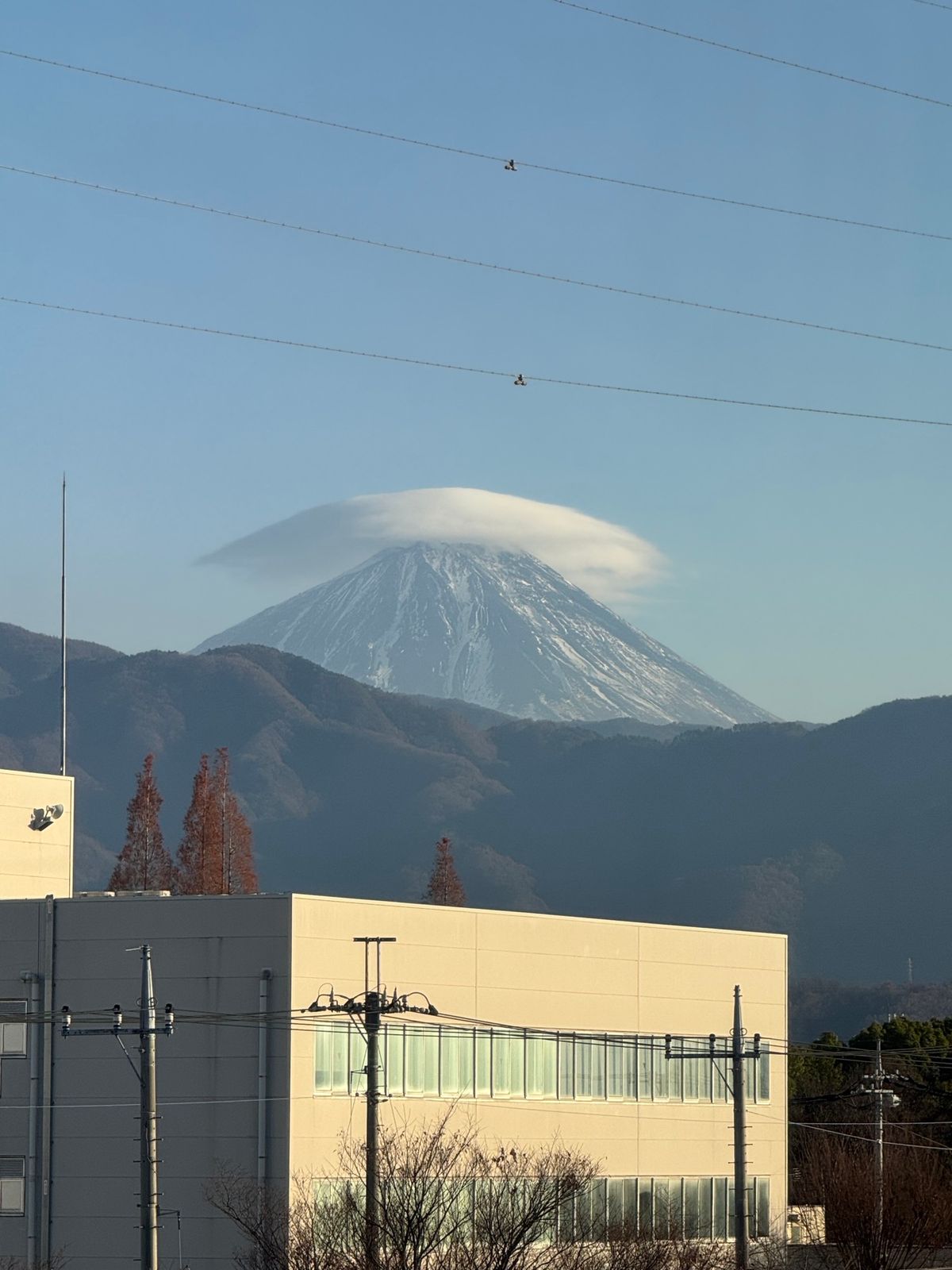 ちらし寿司ランチと傘富士
