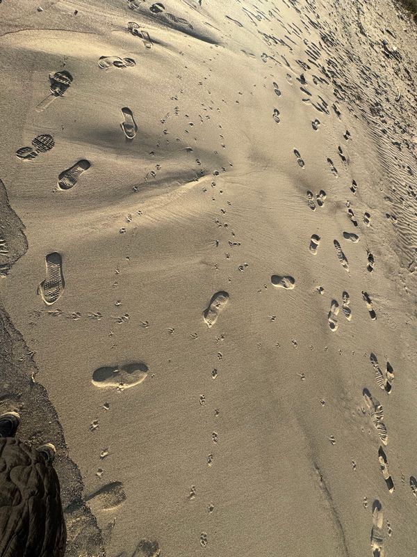 日本・佐賀県「唐津」の写真