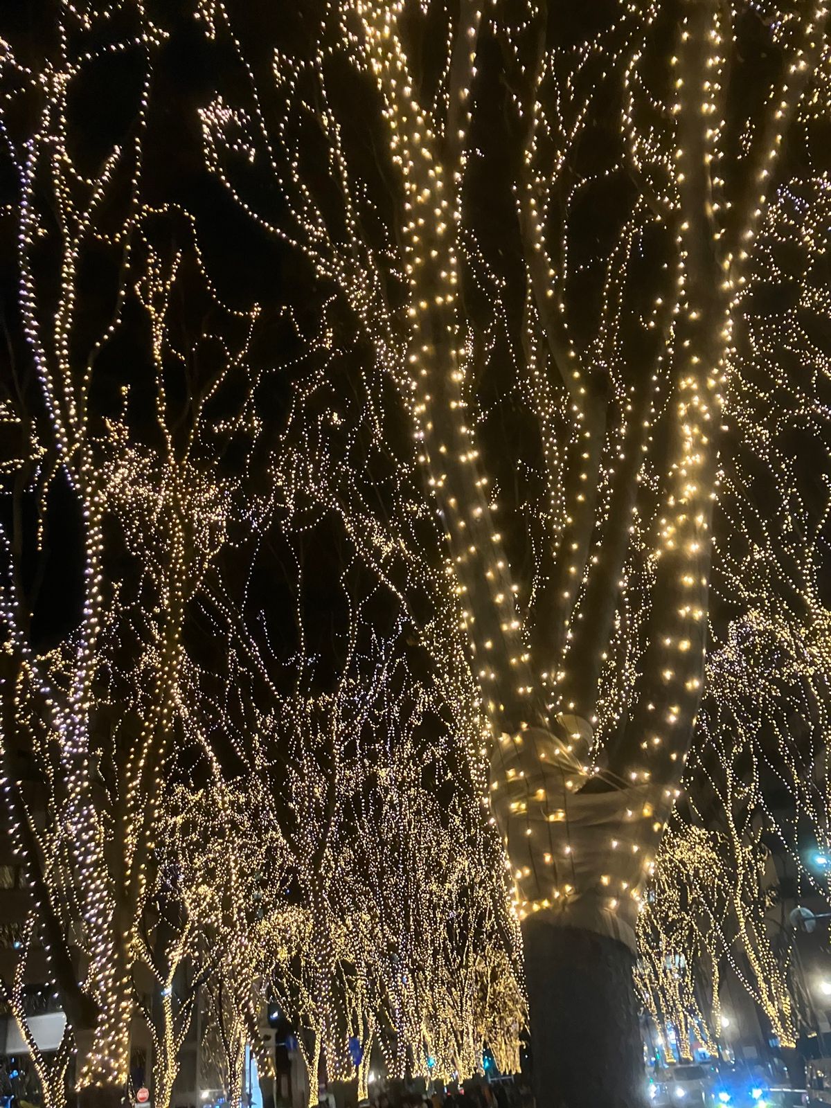 安定の利久と定義山名物の三角揚げ
ぼっちひかりのイルミネーション