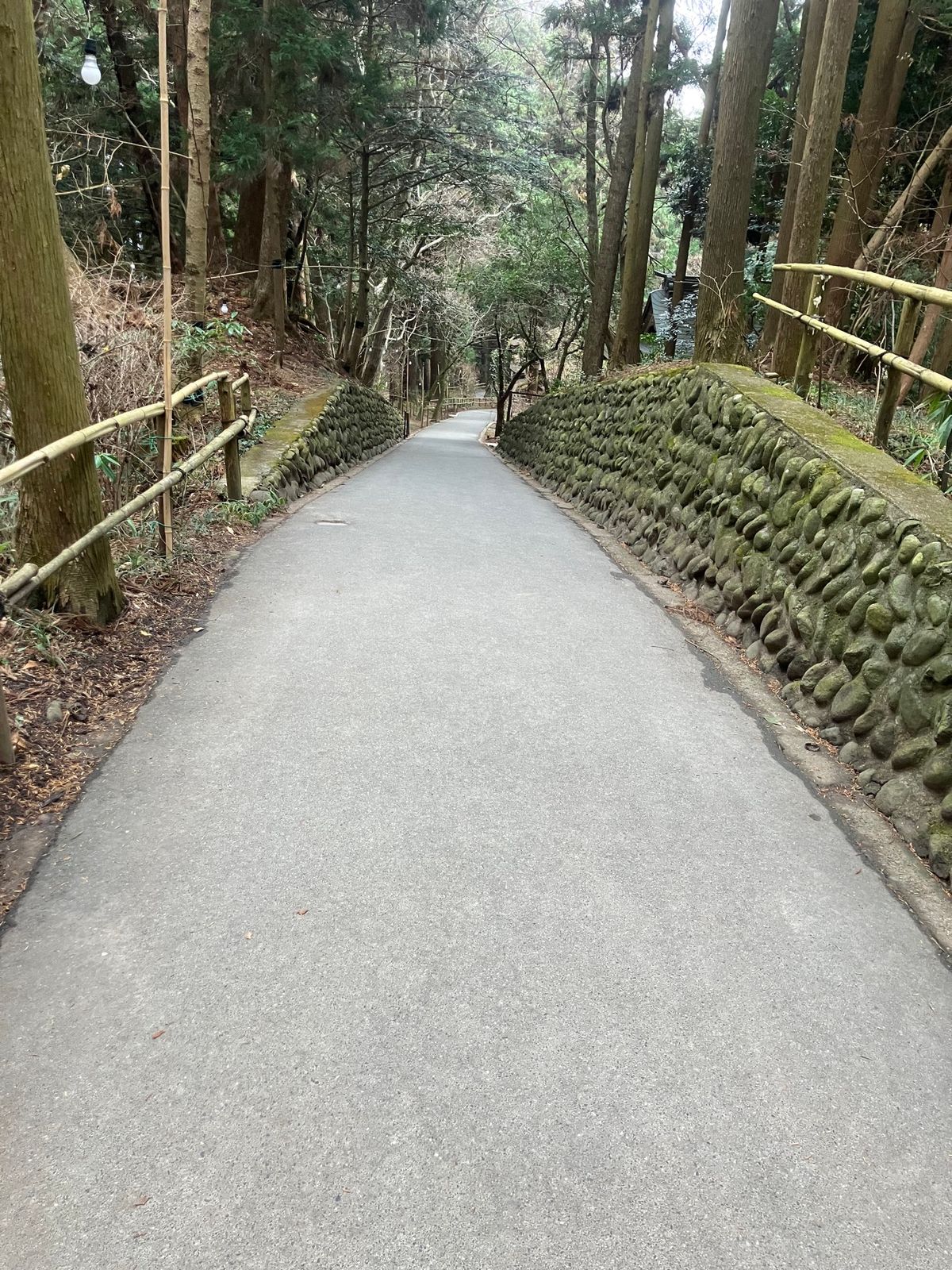 中尊寺からの風景と坂