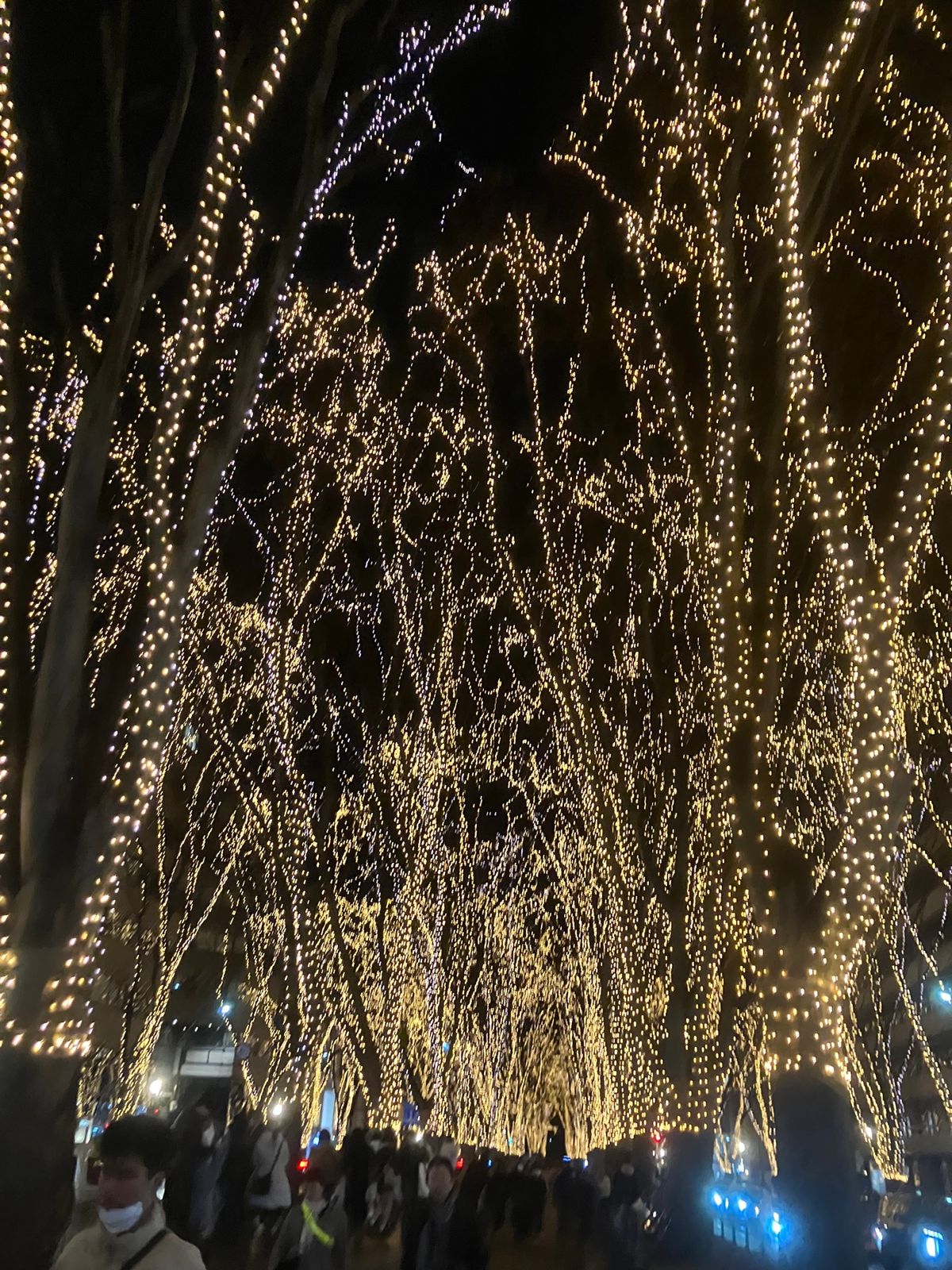 安定の利久と定義山名物の三角揚げ
ぼっちひかりのイルミネーション