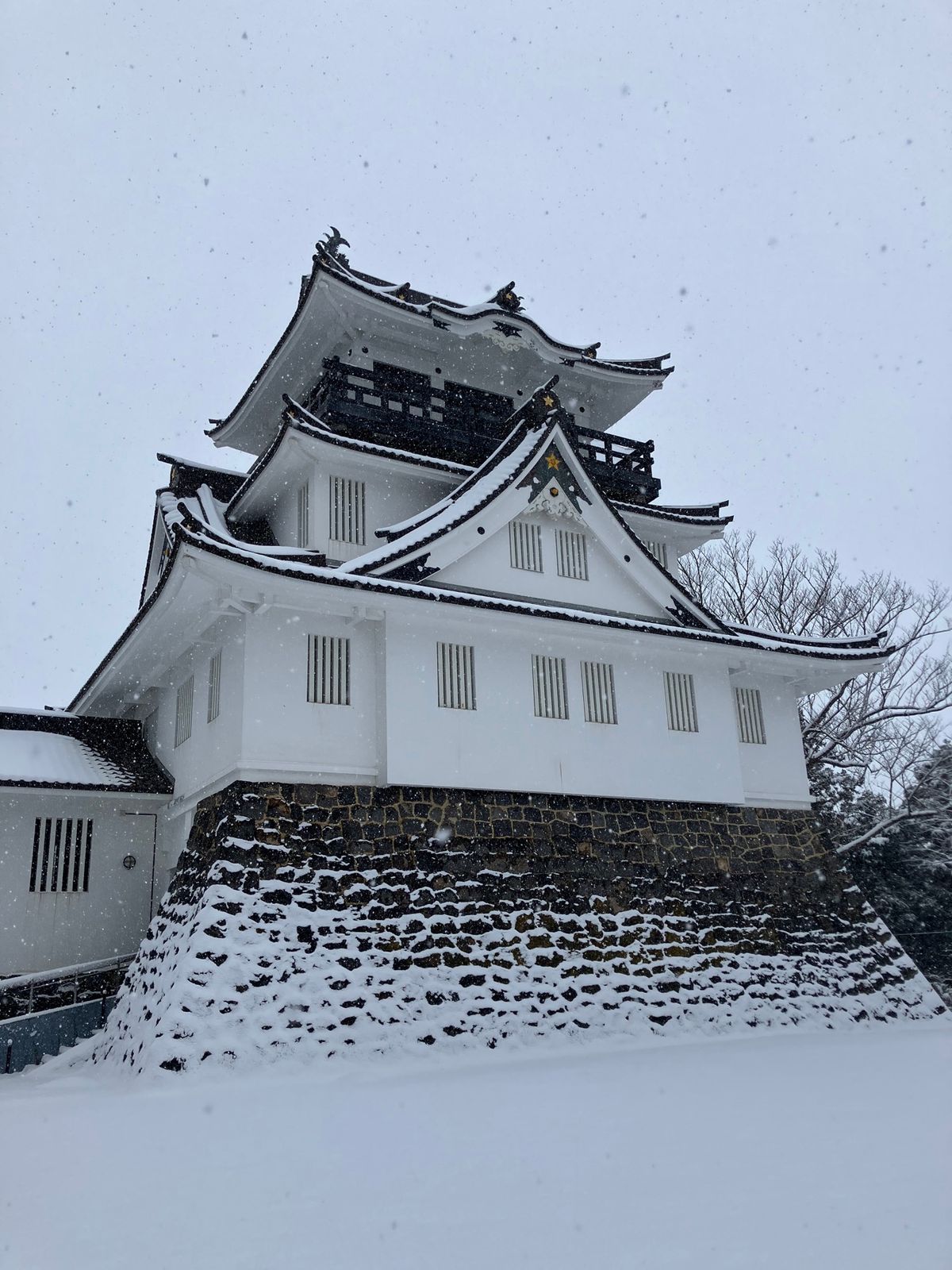 【撮影場所】
秋田県 横手市 横手城

📍 秋田県横手市城山町29-1 
...