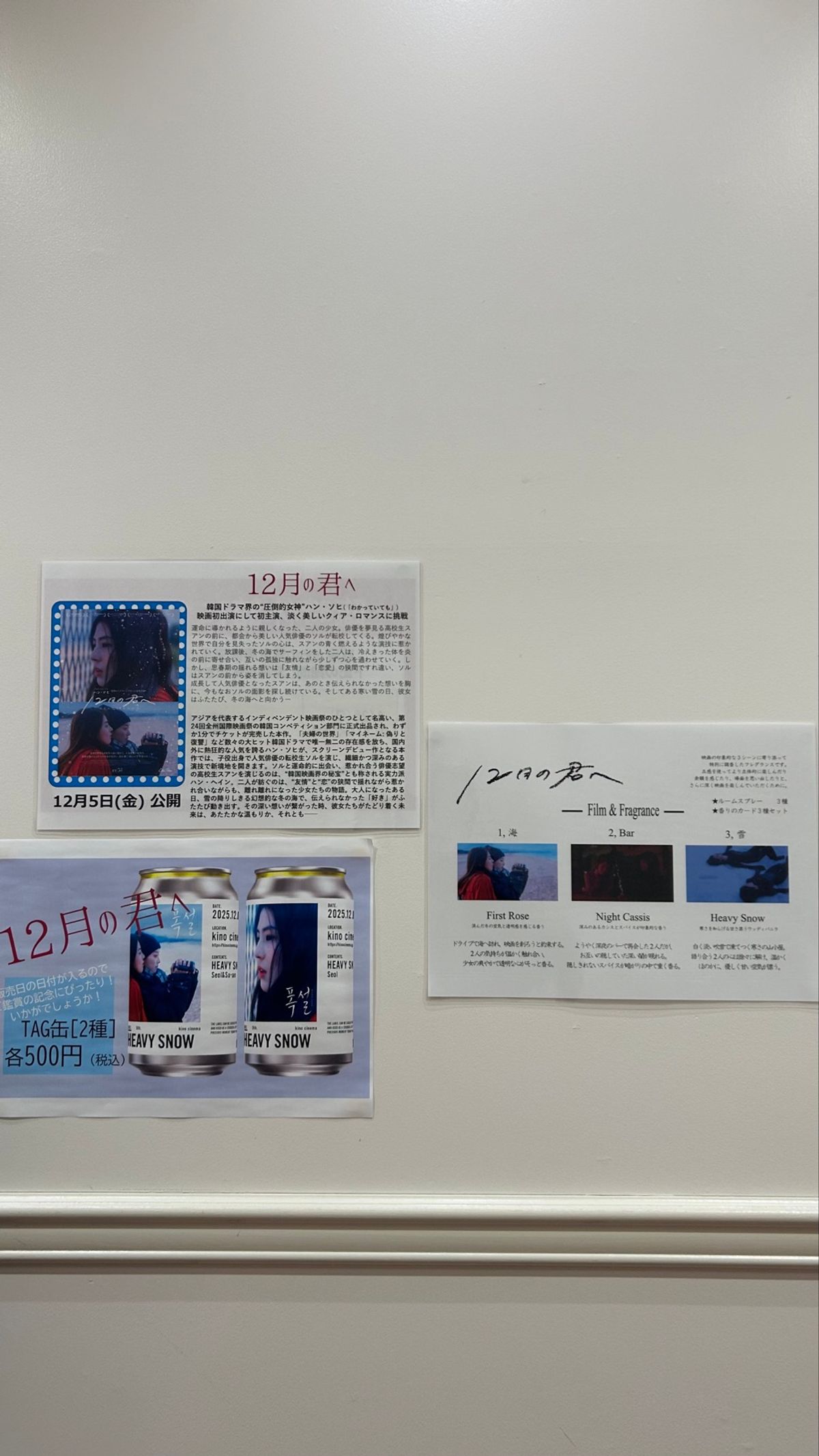 推し活 その4
「12がつの君へ」
ハンソヒちゃん主演のこの映画。
この日...