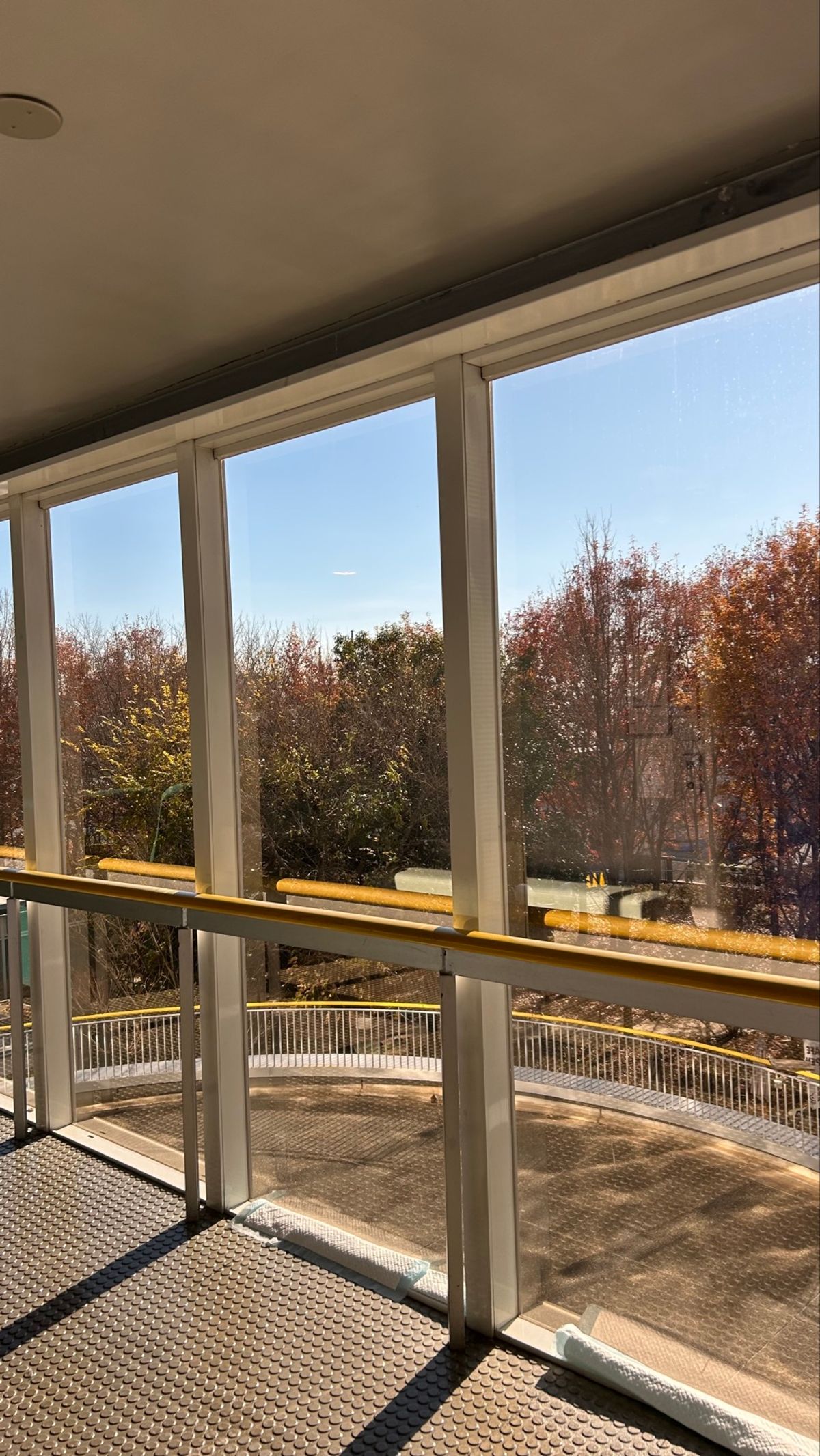 推し活 その3
多摩六都科学館⭐️
秒速5センチメートルの舞台へ🌸

映画...