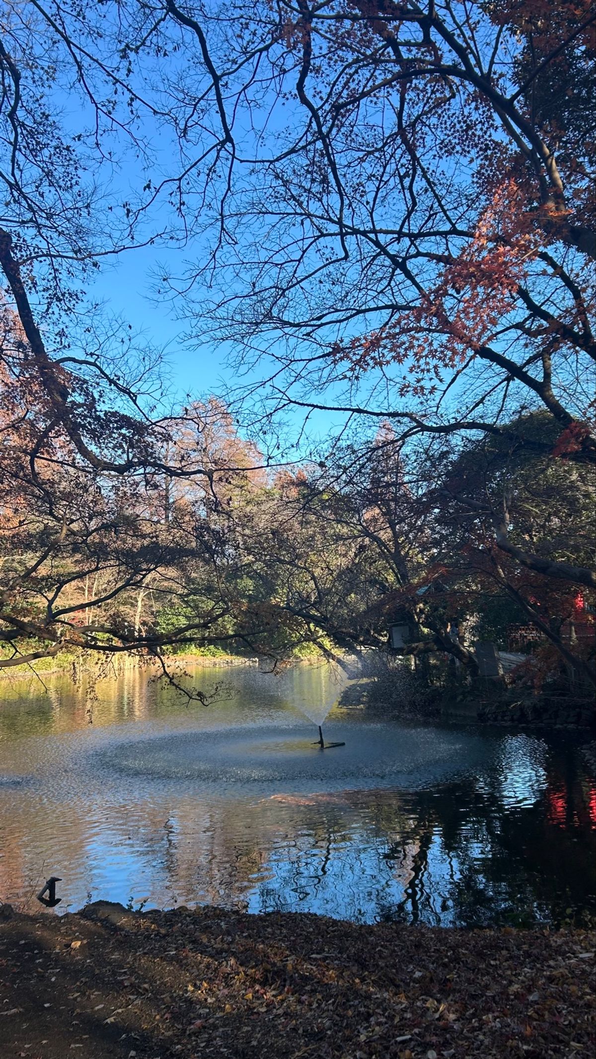 井の頭公園と三鷹の森ジブリ美術館へ🌳
素敵な空間に癒されすぎて満足( ¯﹀¯ )