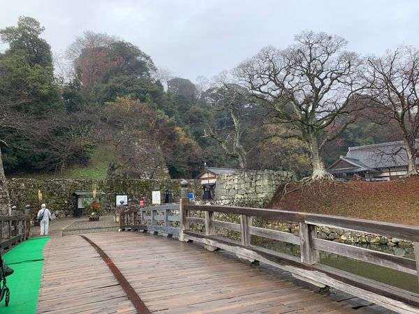 日本・滋賀県「琵琶湖巡り」の写真：彦根城