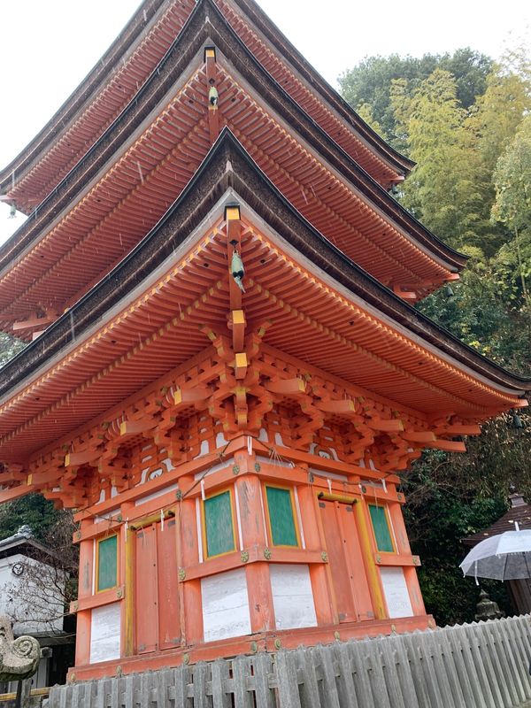 日本・滋賀県「琵琶湖巡り」の写真