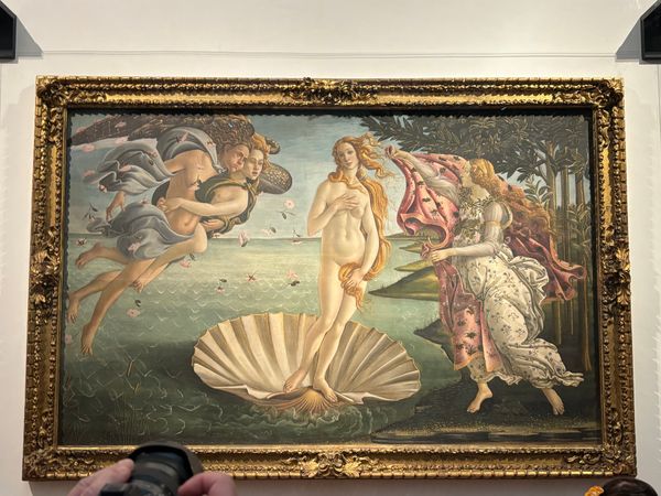 イタリア・フィレンツェ「イタリア旅行 ミラノ、トリノ、フィレンツェ、モデナ」の写真：フィレンツェ　ウフィツィ美術館
ヴィーナ...