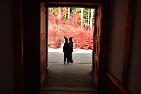日本・福岡県「福岡県呑山観音寺の紅葉🍁」の写真