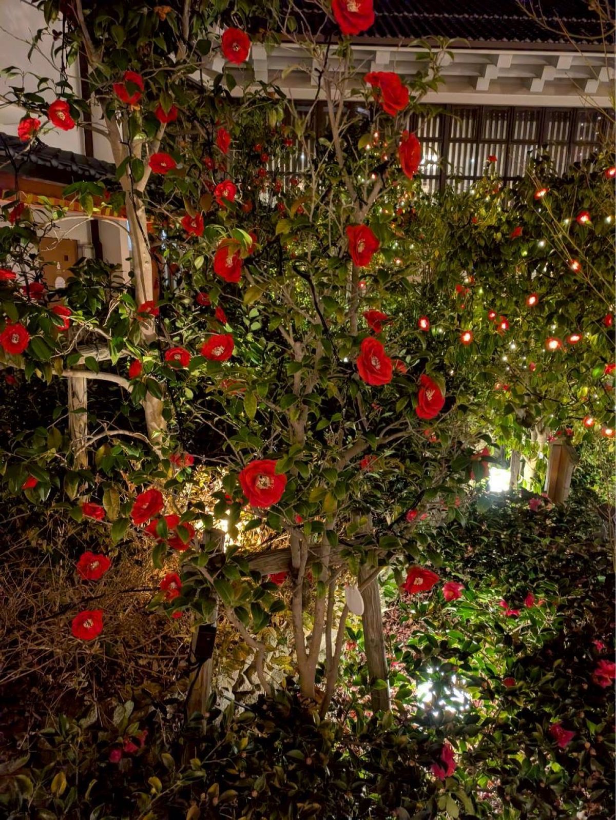 道後温泉♨️おろそいのキーホルダー❣️