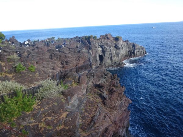 日本・静岡県「2025年年末旅行・伊東」の写真