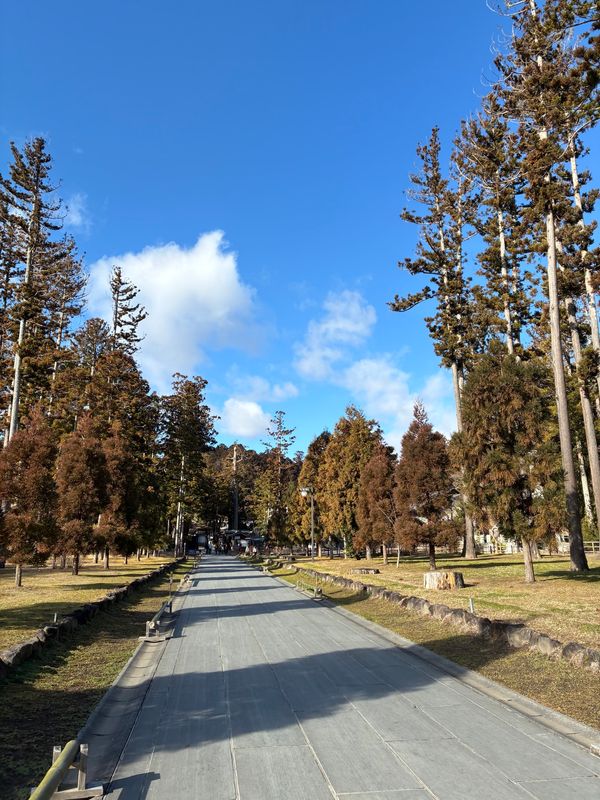 日本・松島「東北♡山形宮城の旅2025」の写真：松島♡