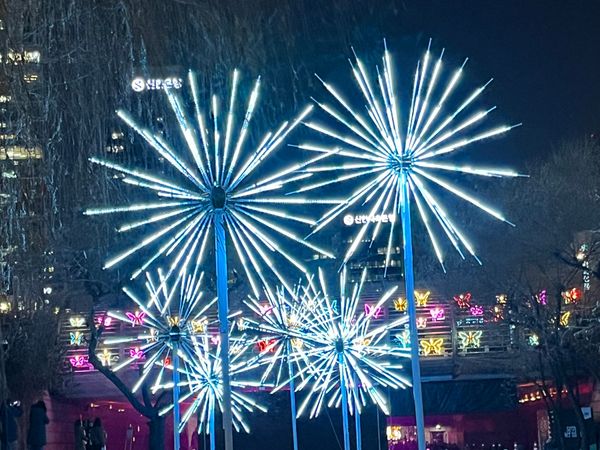 大韓民国 (韓国)・ソウル「韓国旅行_20251229」の写真：清渓川のイルミネーション