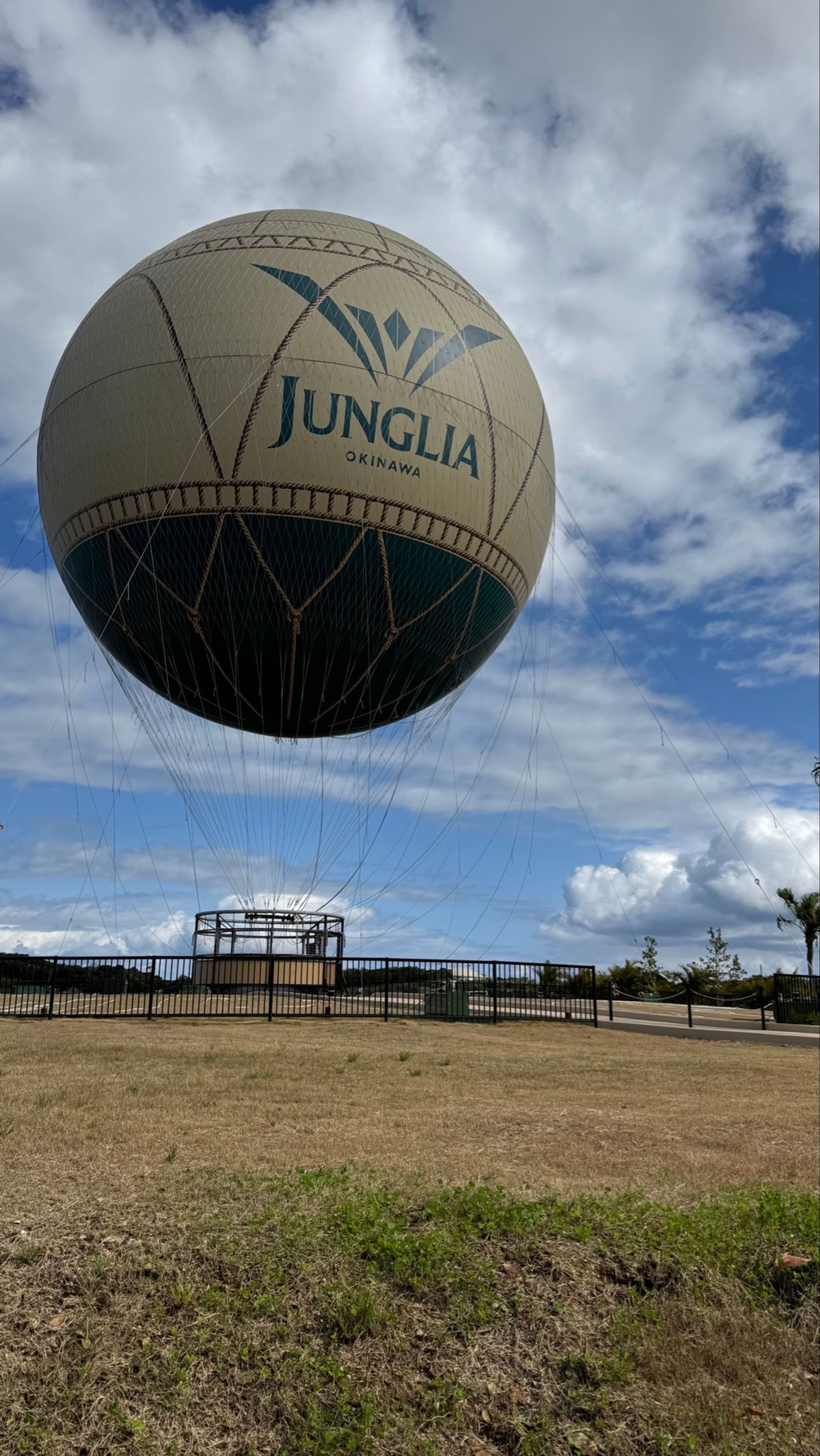 家族で沖縄ゆったり4泊5日👪 美味しいものいっぱい食べて太りました🫩