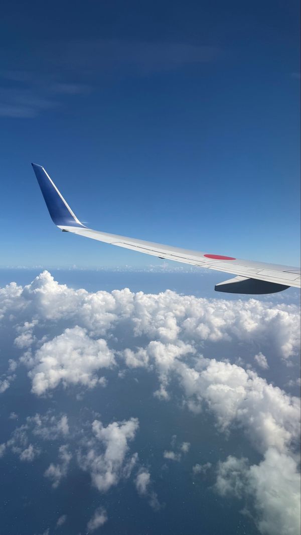 日本「Hachijo, Tokyo」の写真：2回目の夏合宿in八丈島🤿 八丈島の海は...
