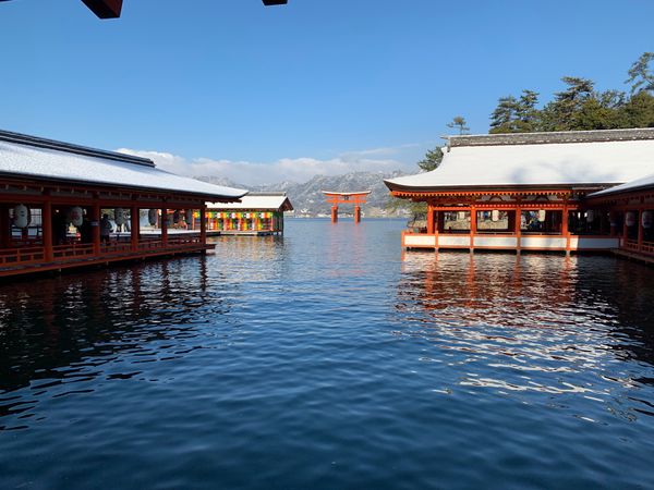 日本・愛媛県「今年も頑張りました 2025年」の写真