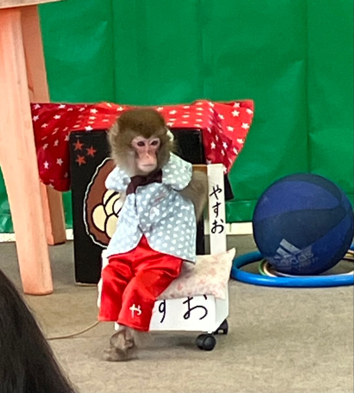 🐵お猿さんの芸