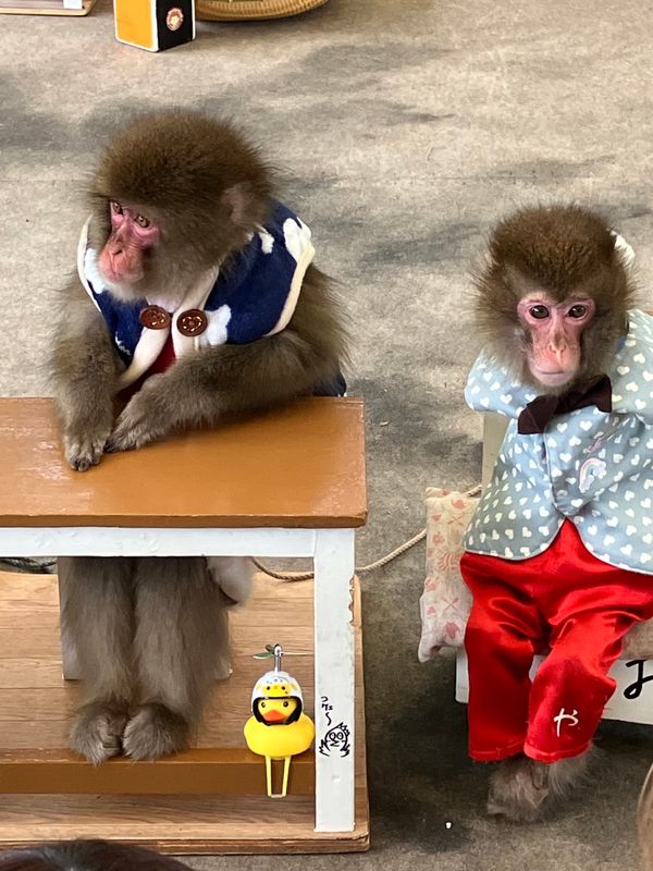 日本・栃木県日光市鬼怒川「鬼怒川ぶらり」の写真