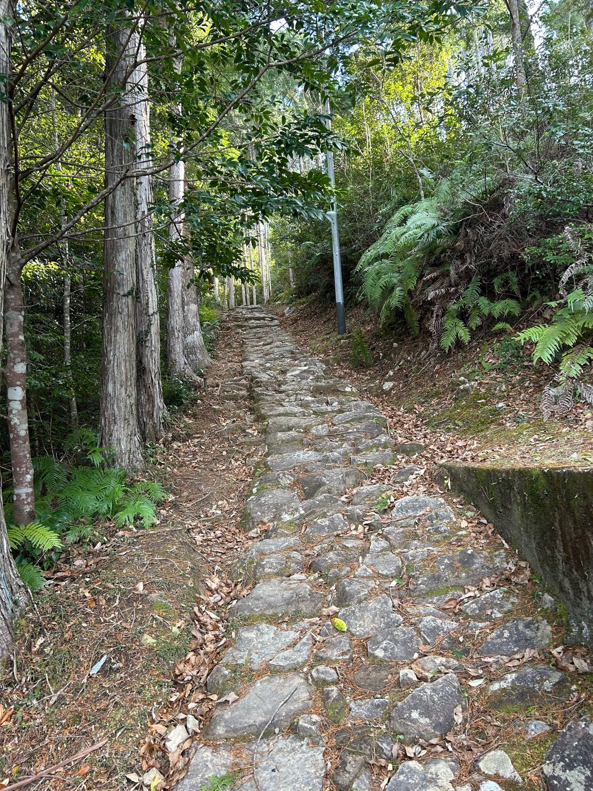 熊野古道
