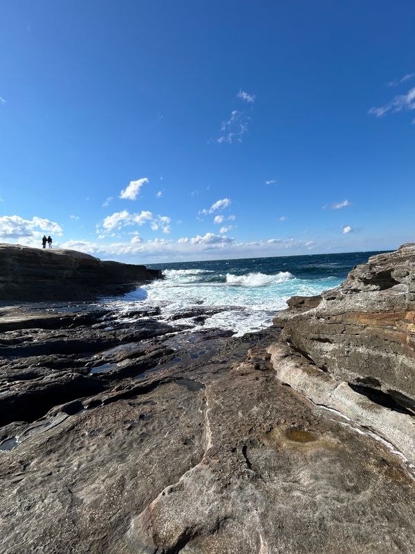日本・和歌山県「和歌山」の写真：千畳敷