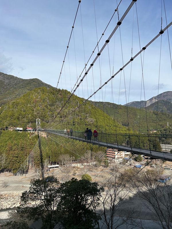 日本・和歌山県「和歌山」の写真：谷瀬の吊り橋